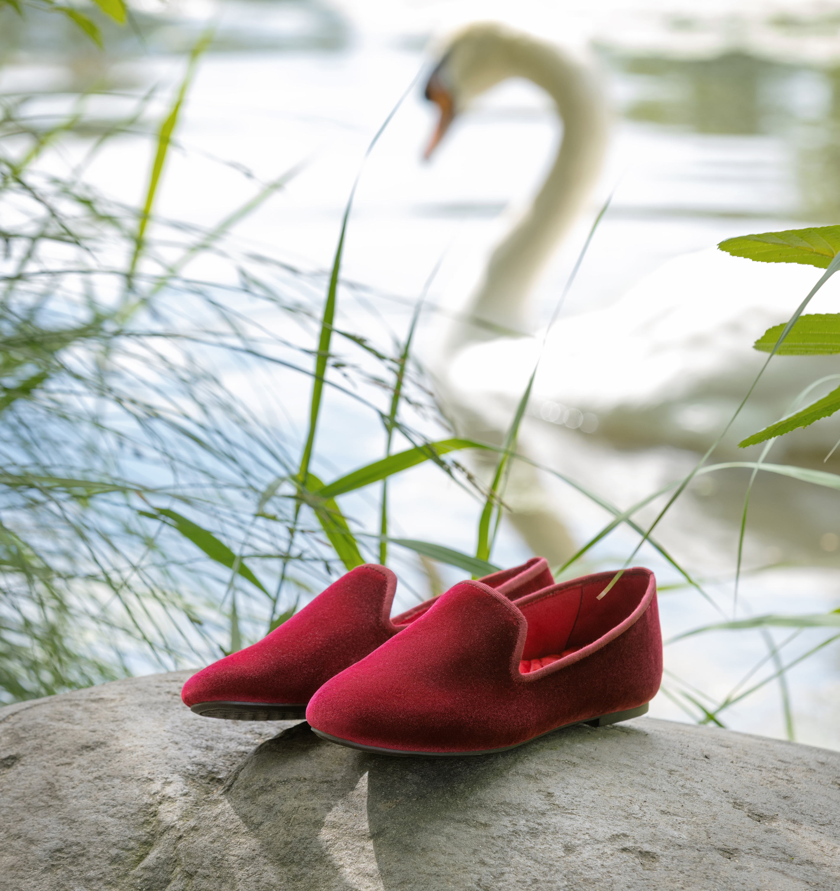 Swan Song